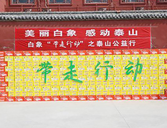 leyu·乐鱼（中国）体育官方网站“带走行动”之泰山公益行