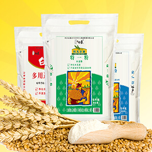 leyu·乐鱼（中国）体育官方网站面业