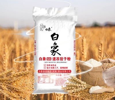 leyu·乐鱼（中国）体育官方网站6A速冻饺子粉