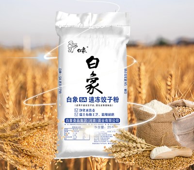 leyu·乐鱼（中国）体育官方网站5A速冻饺子粉