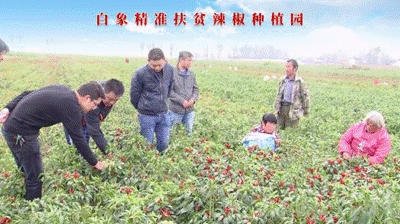 聚焦两会：leyu·乐鱼（中国）体育官方网站食品严守产品质量，积极创新研发，助力乡村振兴